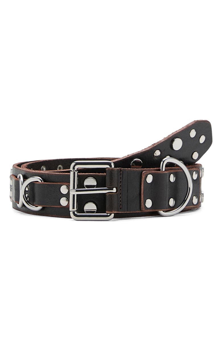 MANGO Studded Leather Belt, Main, color, Chocolate