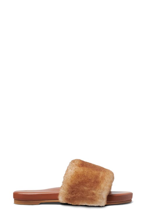 Beek Baza Genuine Shearling Slide Sandal In Brown