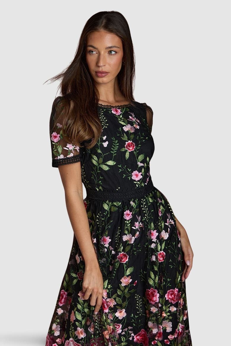 Lace Trim Embroidered Mesh Midi Dress, Alternate, color, Black
