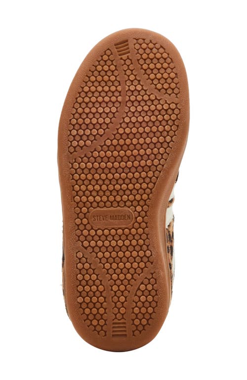 Steve Madden Jmadridd Sneaker In Leopard