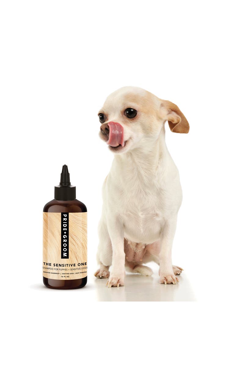 PRIDE+GROOM The Sensitive One Hypoallergenic Dog & Puppy Shampoo - With Hemp Oil, Aloe & Oatmeal For Sensitive Skin, Alternate, color, Brown