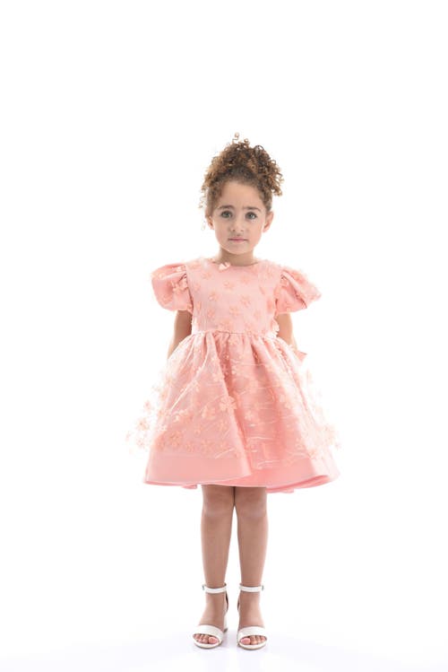 Tulleen Moneta Floral-appliqué Dress In Coral