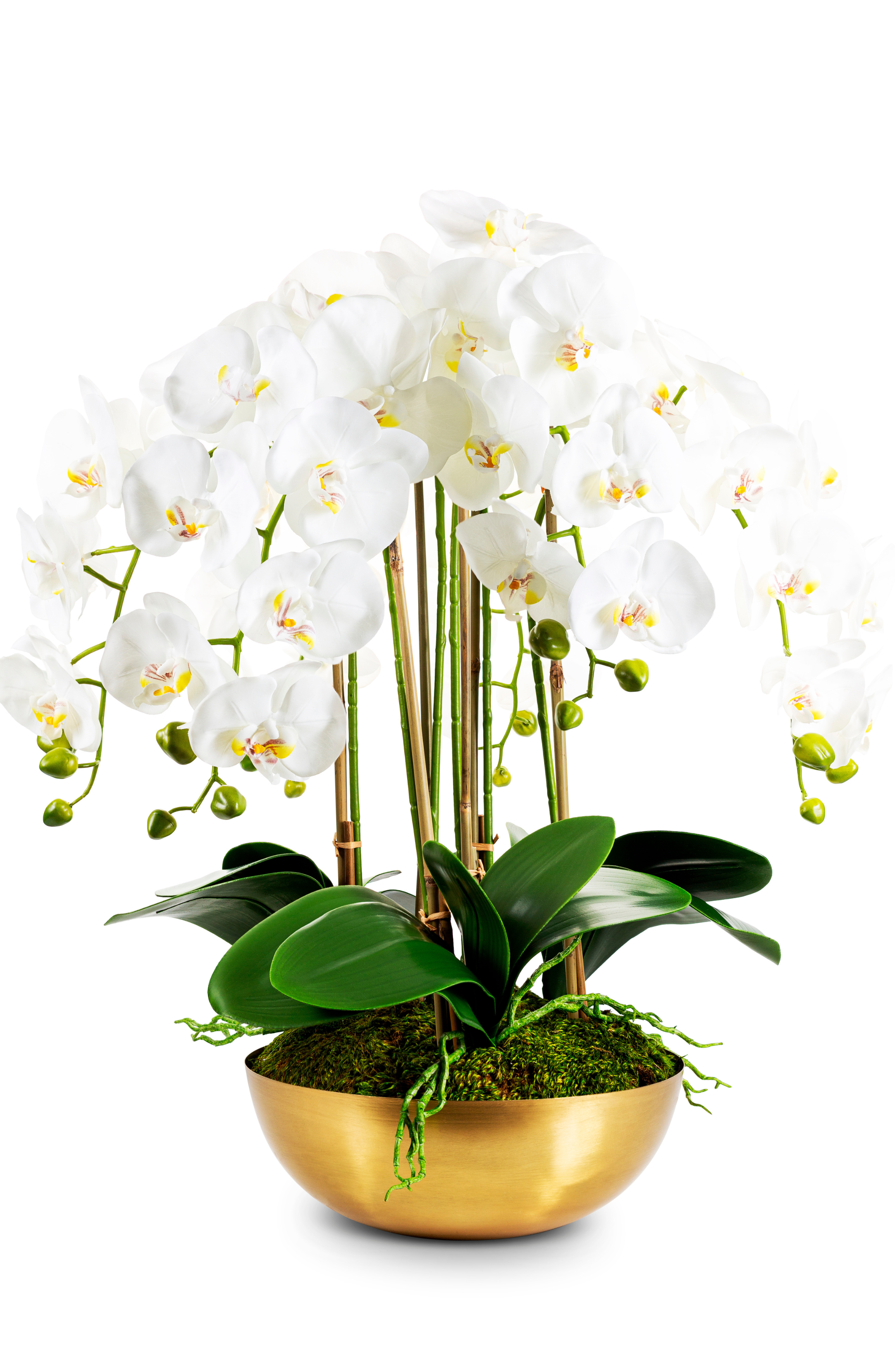 Gold, White, Green