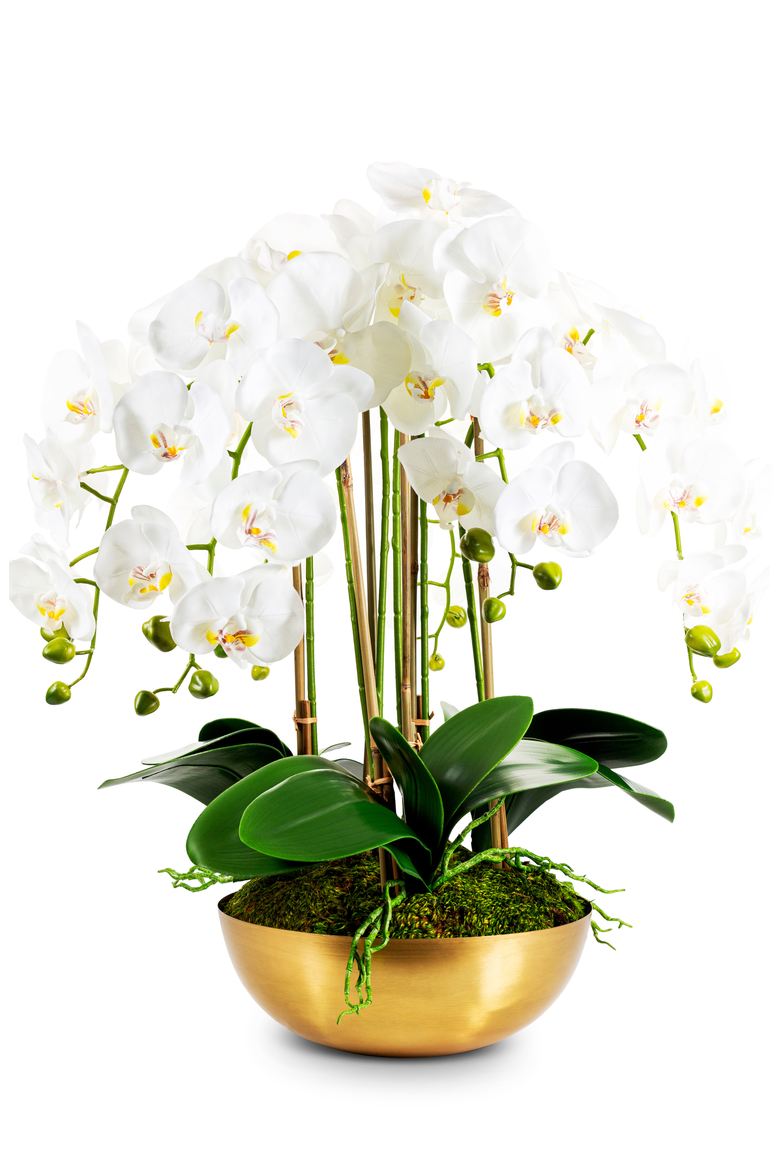 Abigail Gold RealTouch Orchid, Main, color, Gold, White, Green