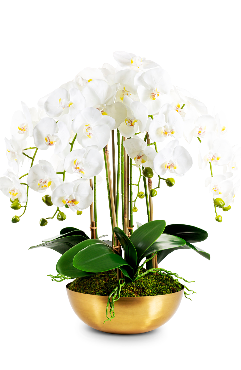 CocoBella Abigail RealTouch White Orchid in Gold Bowl, Main, color, Gold, White, Green