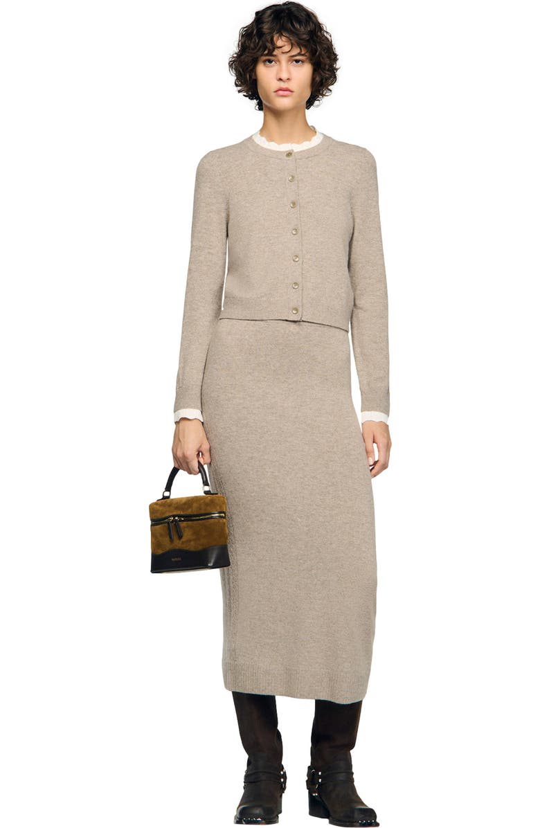 SANDRO TANGOLINO leather and suede vanity bag, Alternate, color, Camel