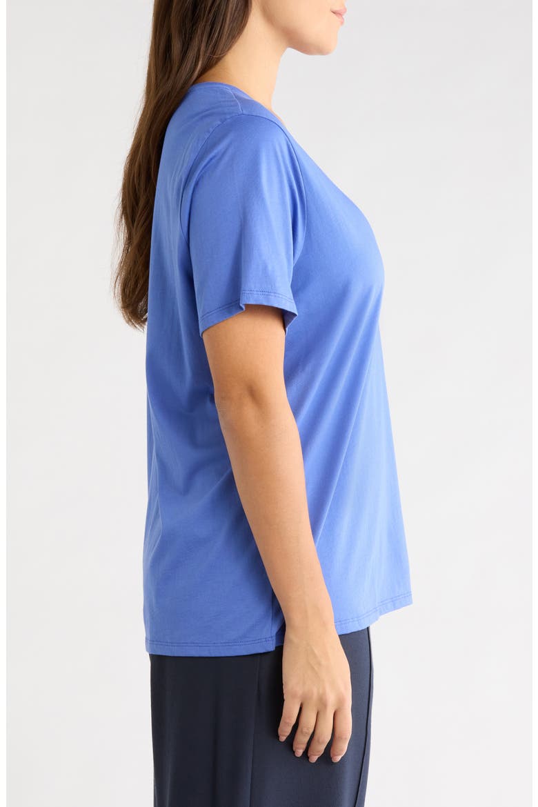 Crewneck Organic Cotton T-Shirt, Alternate, color, BLUE STAR