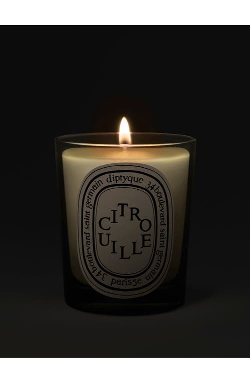Diptyque Citrouille (pumpkin) Classic Candle In Transparent