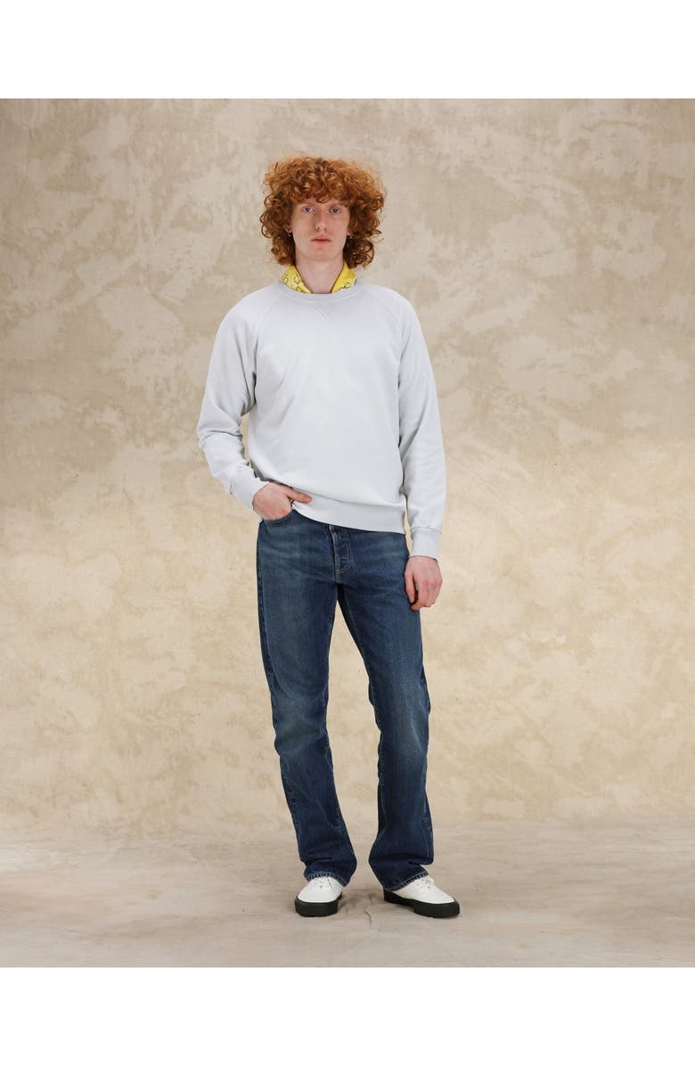 Fortela Harvard Brushed Jersey Raglan Sleeve Sweatshirt, Alternate, color, Ice