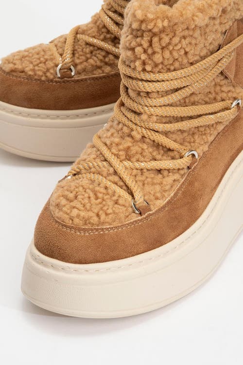 Prologue Shoes Dila Fur Lined Boot In Brown