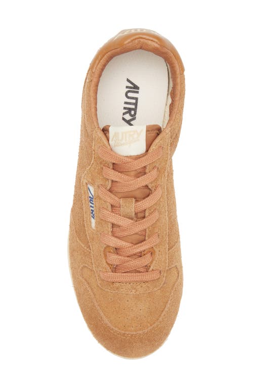 Autry 'windspin Low' Brown Sneaker With Logo On The Side And On The Heel In Brown