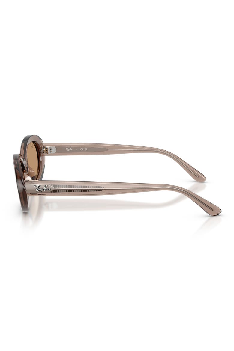 54mm Oval Sunglasses, Alternate, color, TRANSPARENT TAUPE / BROWN