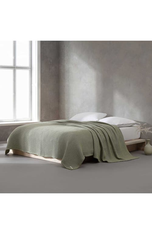 Calvin Klein Home Honeycomb Cotton Blanket In Medium Green