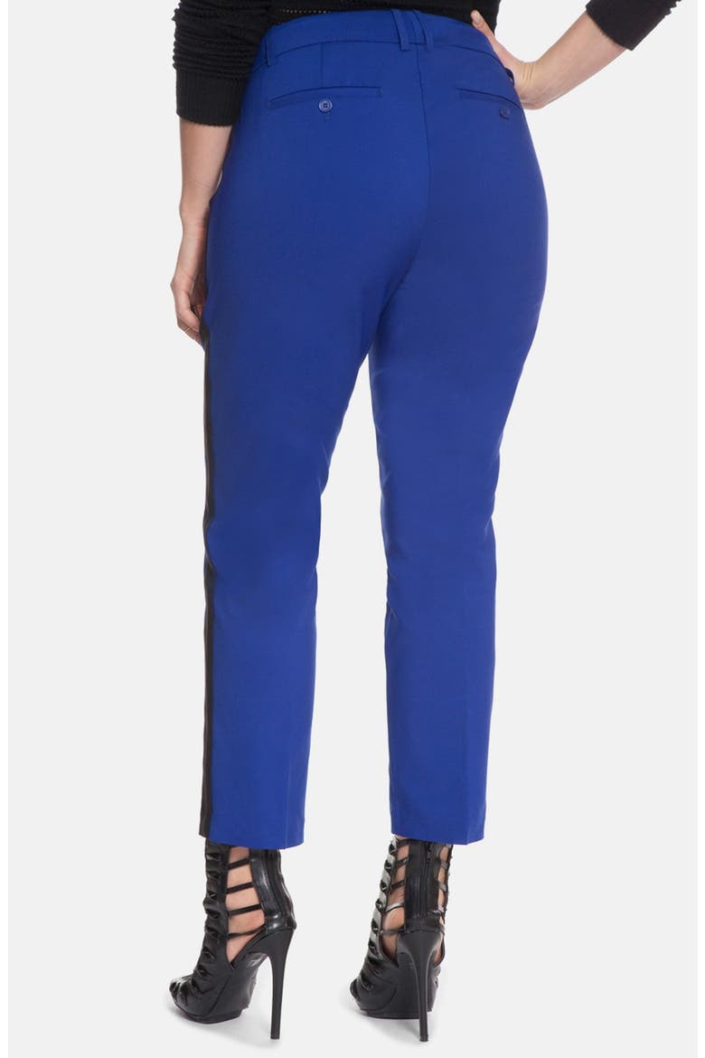 'Kady' Side Stripe Ankle Pants, Alternate, color, BLUE JAY