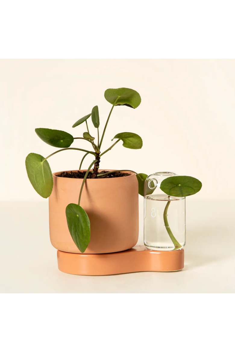 Self-Watering Planter & Propagation Station by Greenfinity, Main, color, Light Brown