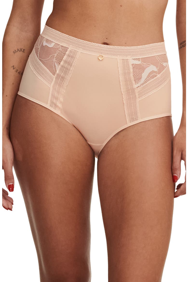 True Lace High Waist Briefs, Main, color, BEIGE BLUSH-1N