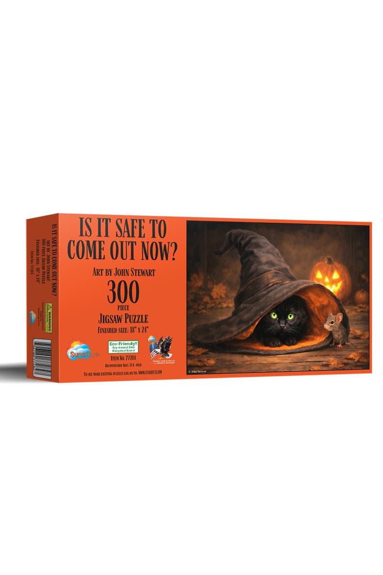 Is it Safe to Come Out Now? 300, Main, color, Multicolor
