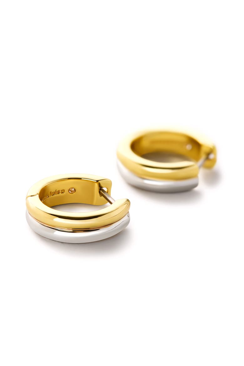 Huggie Hoop Earrings - Asher, Alternate, color, Gold/silver
