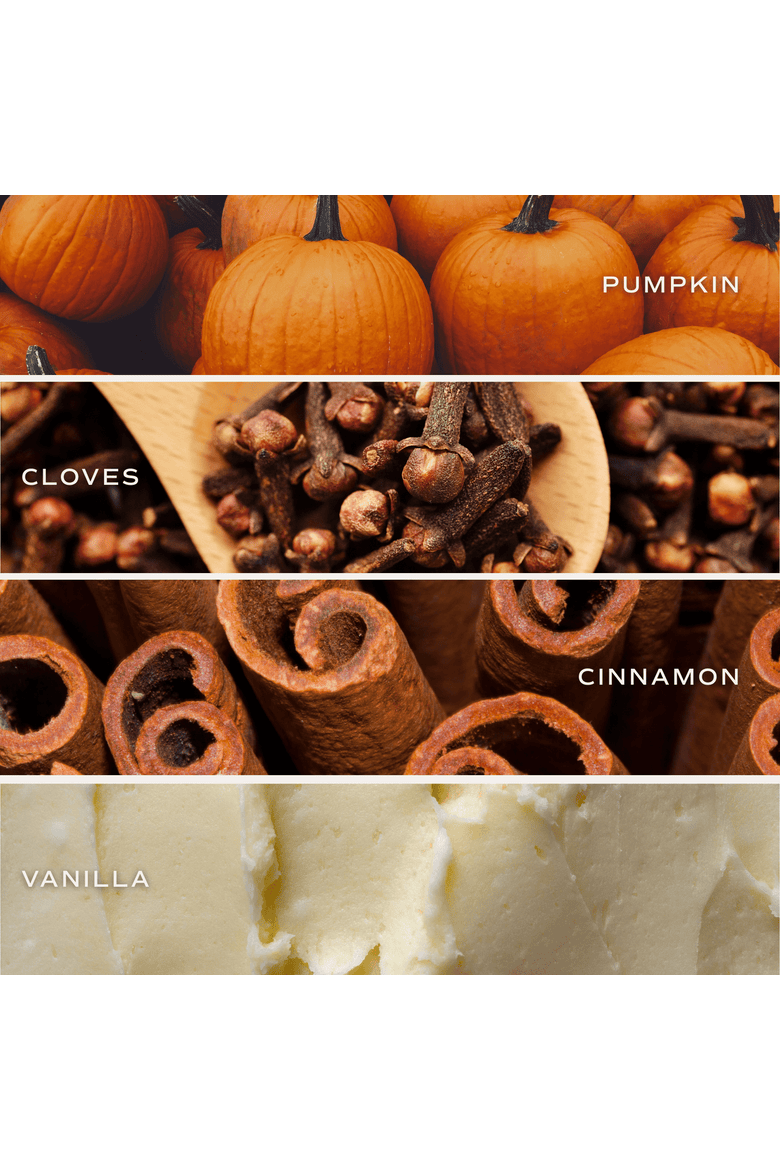Premium Boxed Fall Candle, Alternate, color, Pumpkin Spice - Plaid Jar