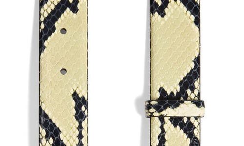 Khaite Saddle Snakeskin Embossed Leather Belt In Neutral