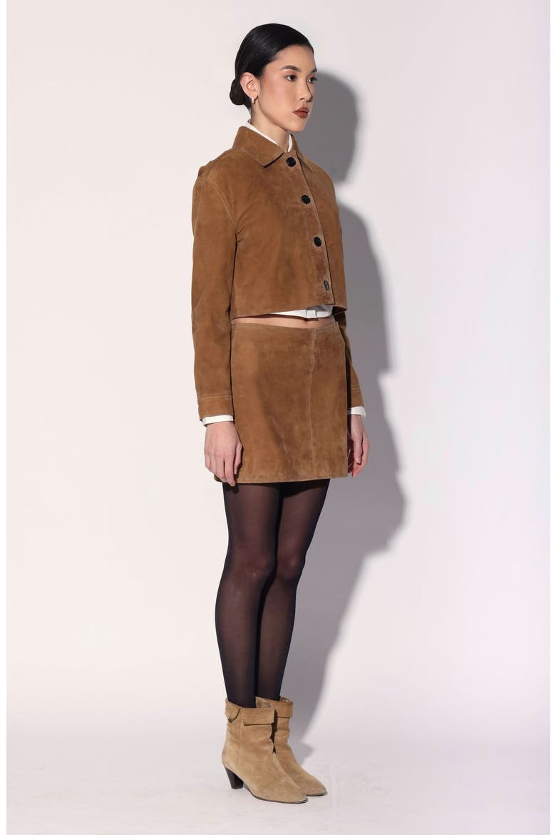 Suzette Suede Leather Jacket, Alternate, color, Brown
