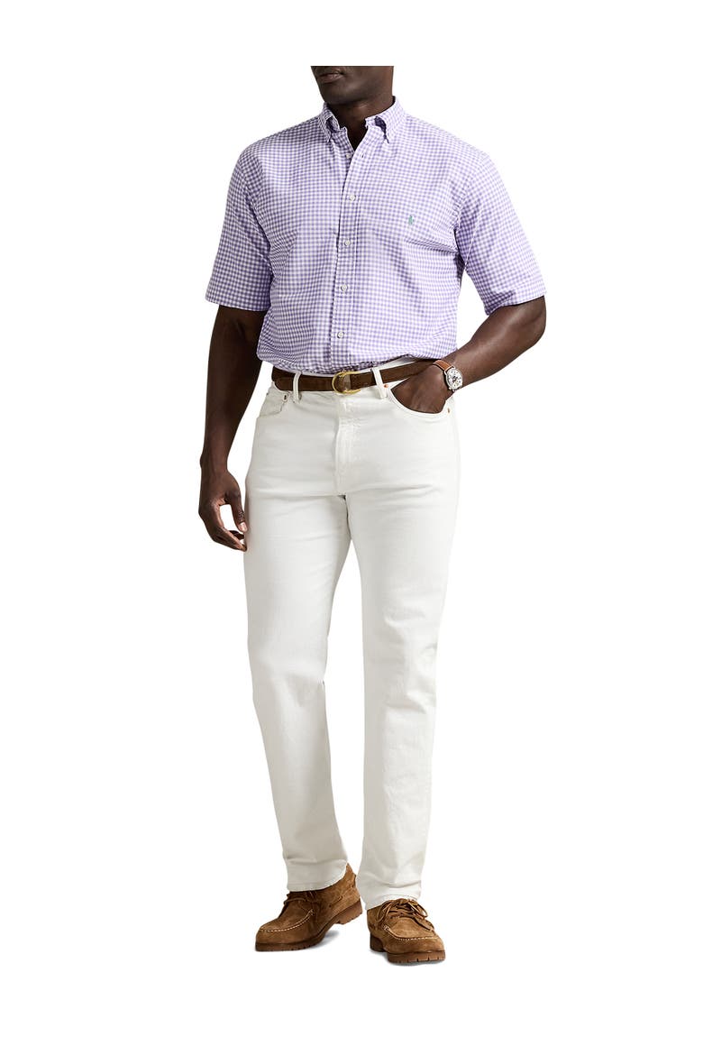 Big & Tall Gingham Oxford Sport Shirt, Alternate, color, AIX LAVENDER NEVIS