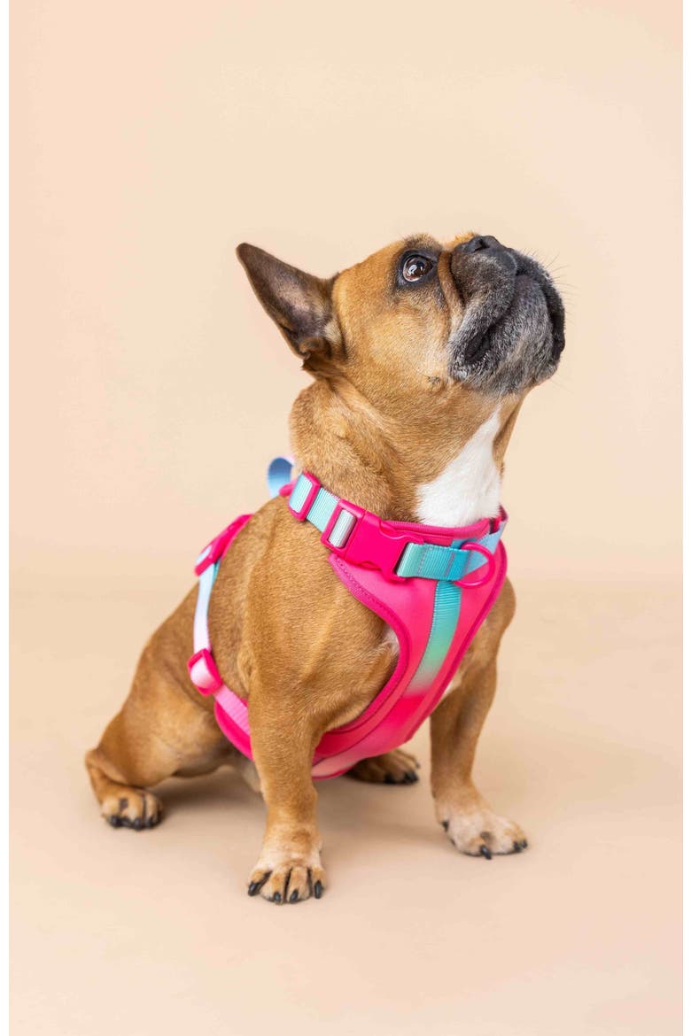 Stasia Dog Harness, Alternate, color, Stasia