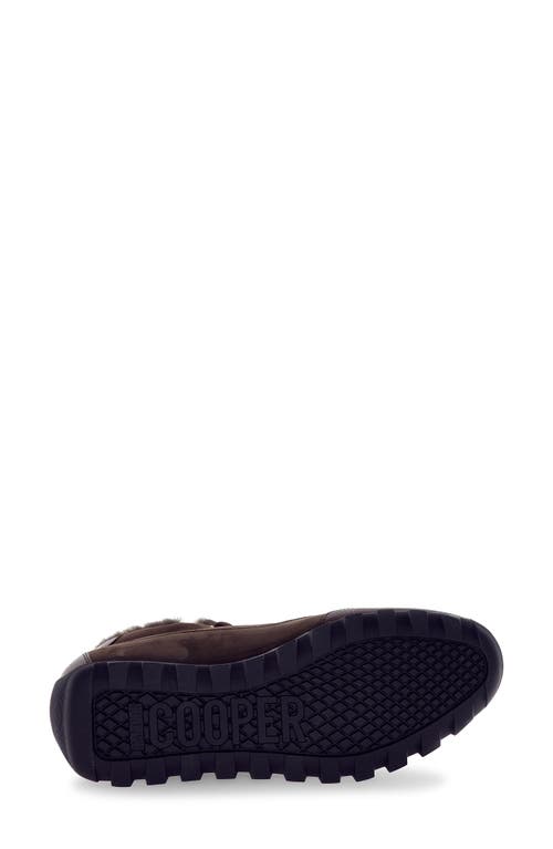 Candice Cooper Runlo Waterproof Genuine Shearling Lined High Top Sneaker In Multi