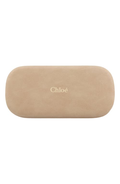 Chloé 54mm Aviator Optical Glasses