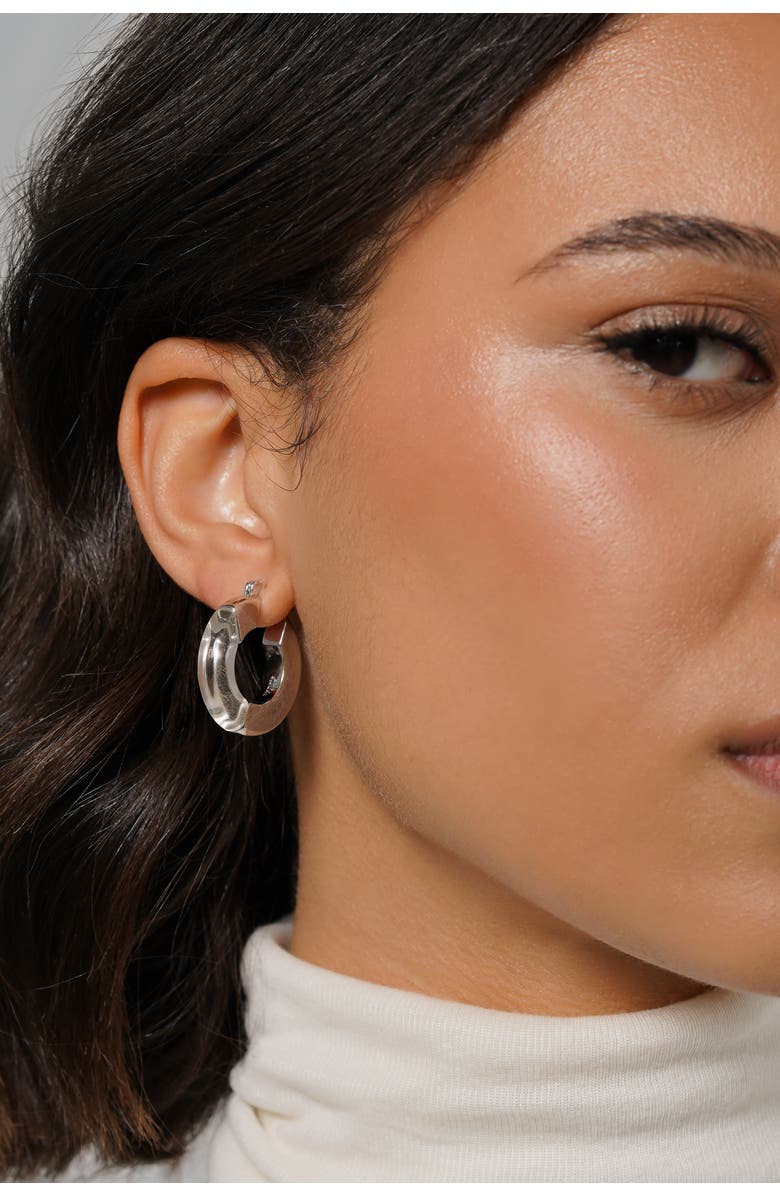 Zynnia Collective Split Hoops, Alternate, color, Silver