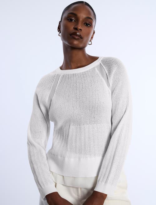 Bcbg Pointelle Knit Sweater