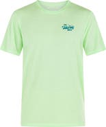 Hurley Everyday Shakti Graphic T-Shirt