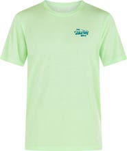 Hurley Everyday Shakti Graphic T-Shirt