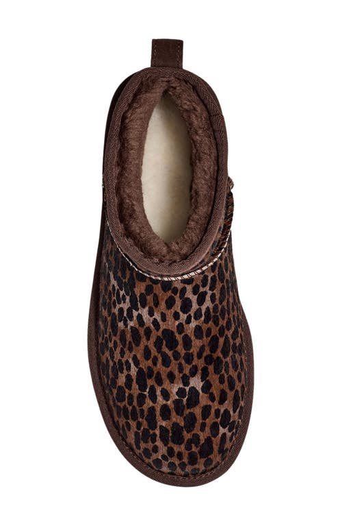 Ugg(r) Classic Ultra Mini Caspian Genuine Calf Hair Bootie
