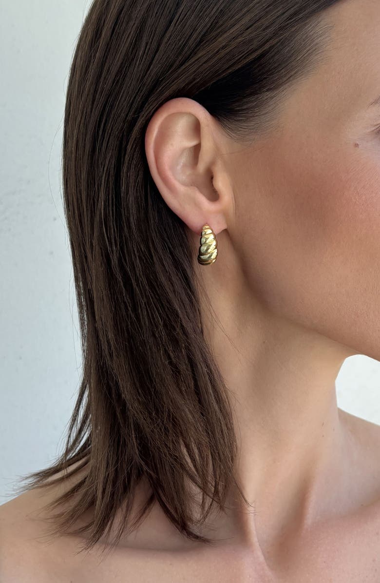 Adornia 14K Gold Plated Hoop Earrings Set, Alternate, color, Gold