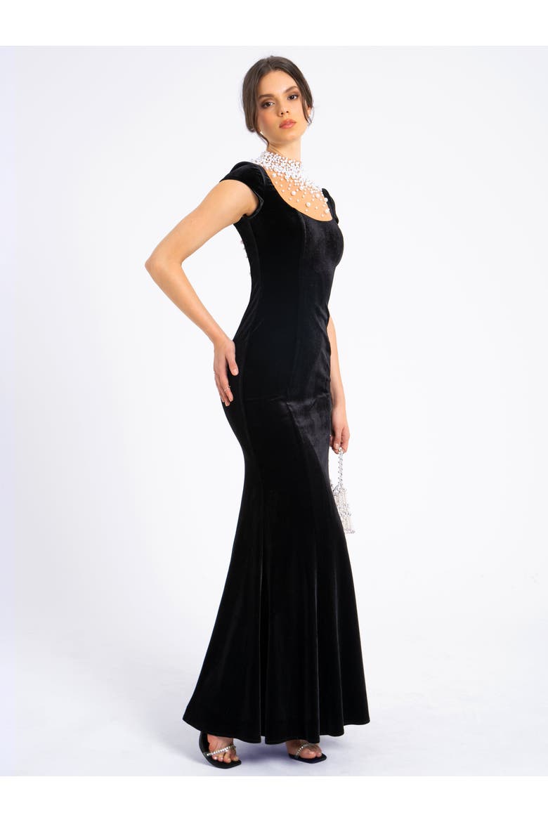 Rachael Velvet Pearl Embellished Gown, Alternate, color, Black