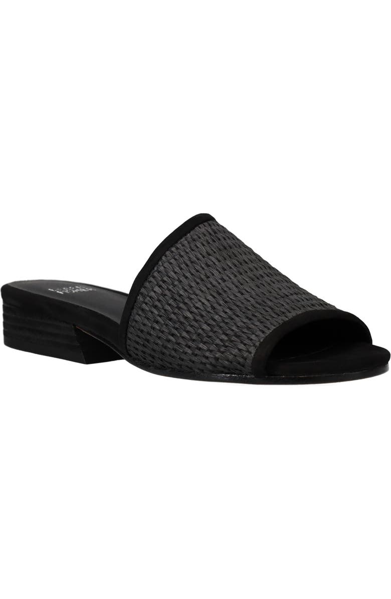 Eileen Fisher Noko Raffia Slide Sandal, Alternate, color,