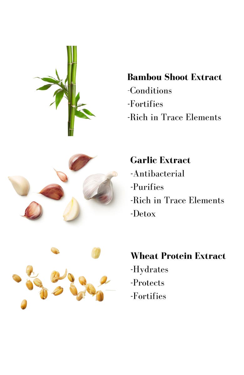 Leonor Greyl PARIS Crème Moelle de Bambou Nourishing Shampoo, Alternate, color,