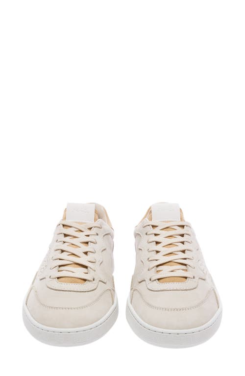 P448 Yam Skate Sneaker