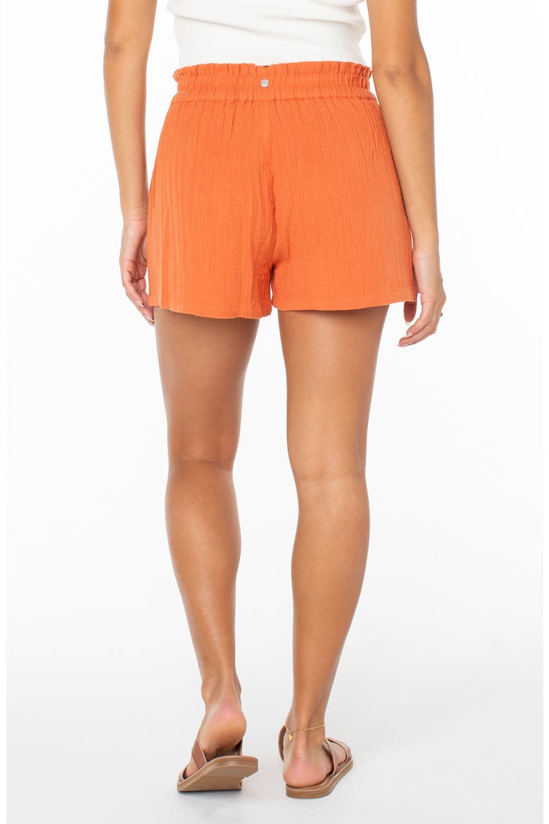 So Swell Crinkle Shorts, Alternate, color, GINGER SPICE