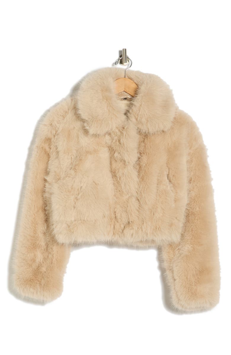 BLANKNYC Gram Moment Faux Fur Crop Bomber Jacket, Alternate, color, Gram Moment