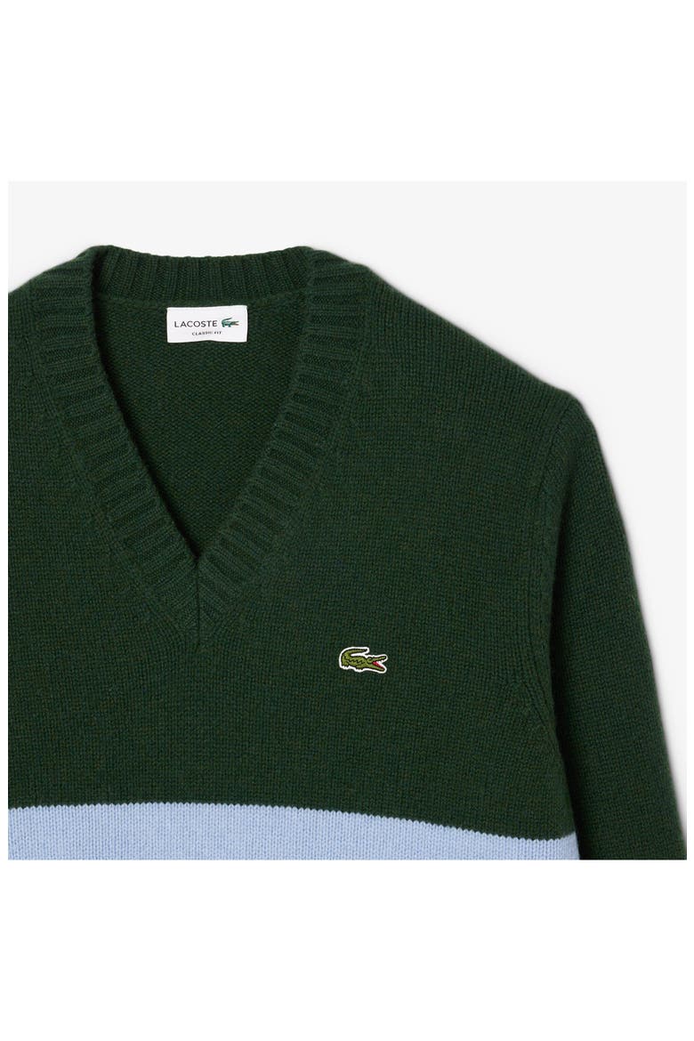 Classic Stripe Wool V-Neck Sweater, Alternate, color, SINOPLE/ OVERVIEW