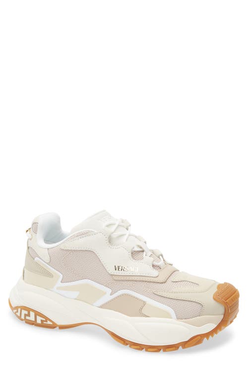Versace Low Top Sneaker In Mastic Chiffon- Gold