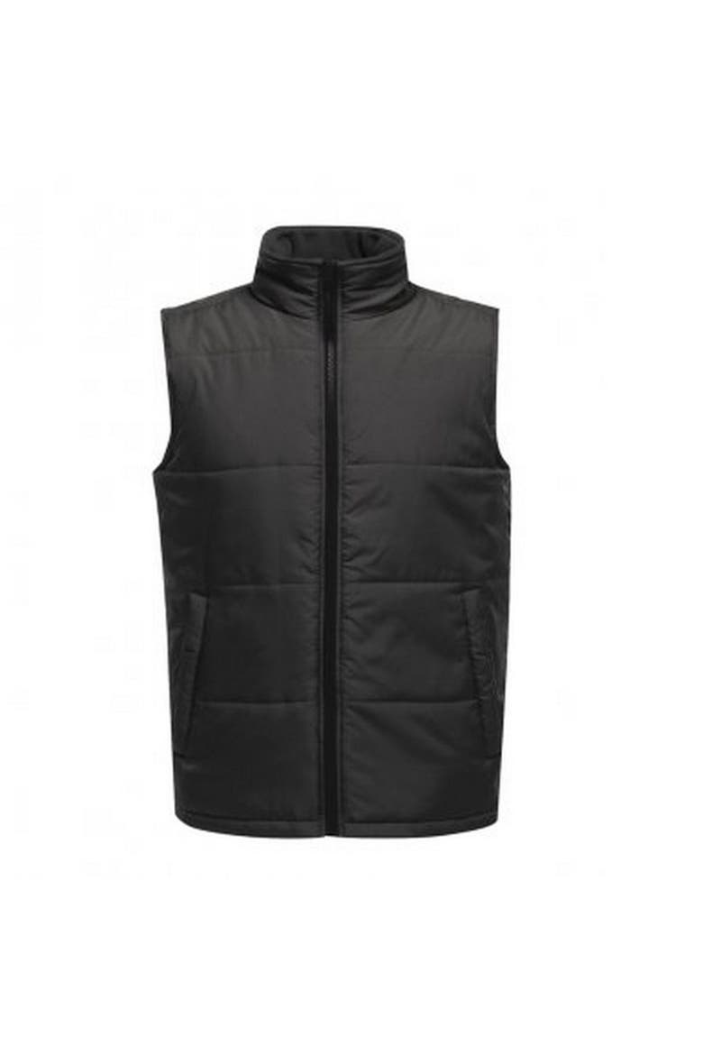 Standout Access Insulated Bodywarmer, Main, color, Seal Gray and Black