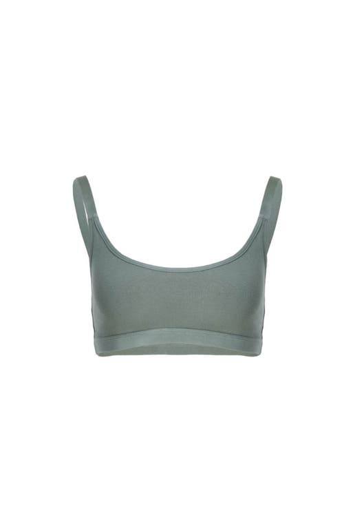 Vitality Vital Scoop Bralette In Green