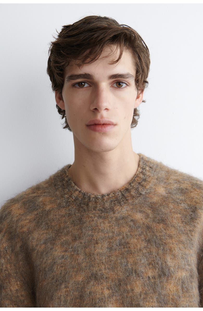 COS Space-dyed Mohair-blend Crew-neck Jumper, Alternate, color, Brown