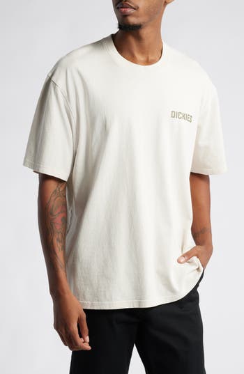 Dickies High Flying Cotton Graphic T-shirt In Cloud