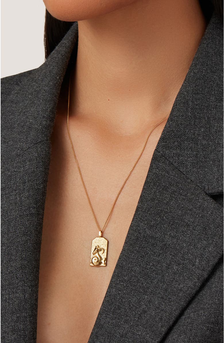 JENNY BIRD Zodiac Pendant Necklace, Alternate, color, Gold - Capricorn
