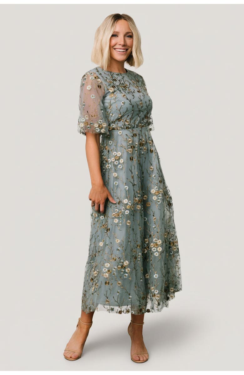 Baltic Born Arabella Embroidered Tulle Maxi Dress, Main, color, Dusty Blue Floral
