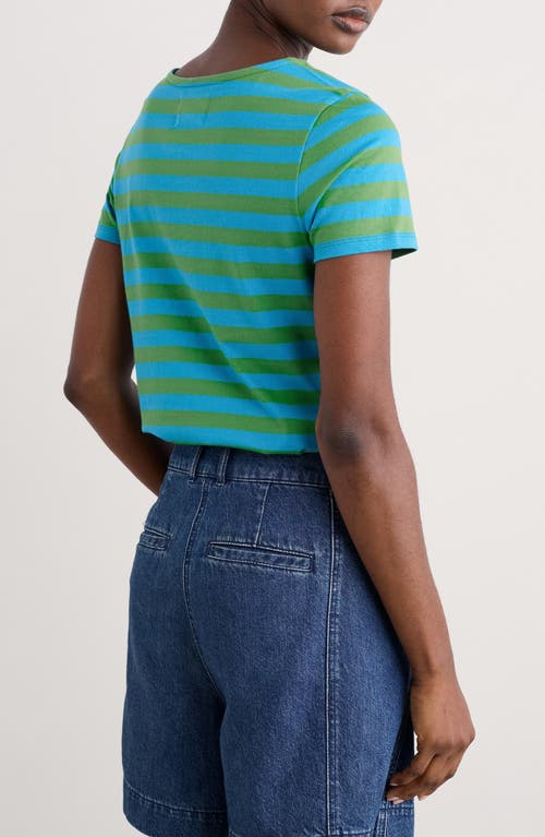 Seasalt Cornwall Sailor Stripe Organic Cotton T-shirt In Scallion Hedgerow